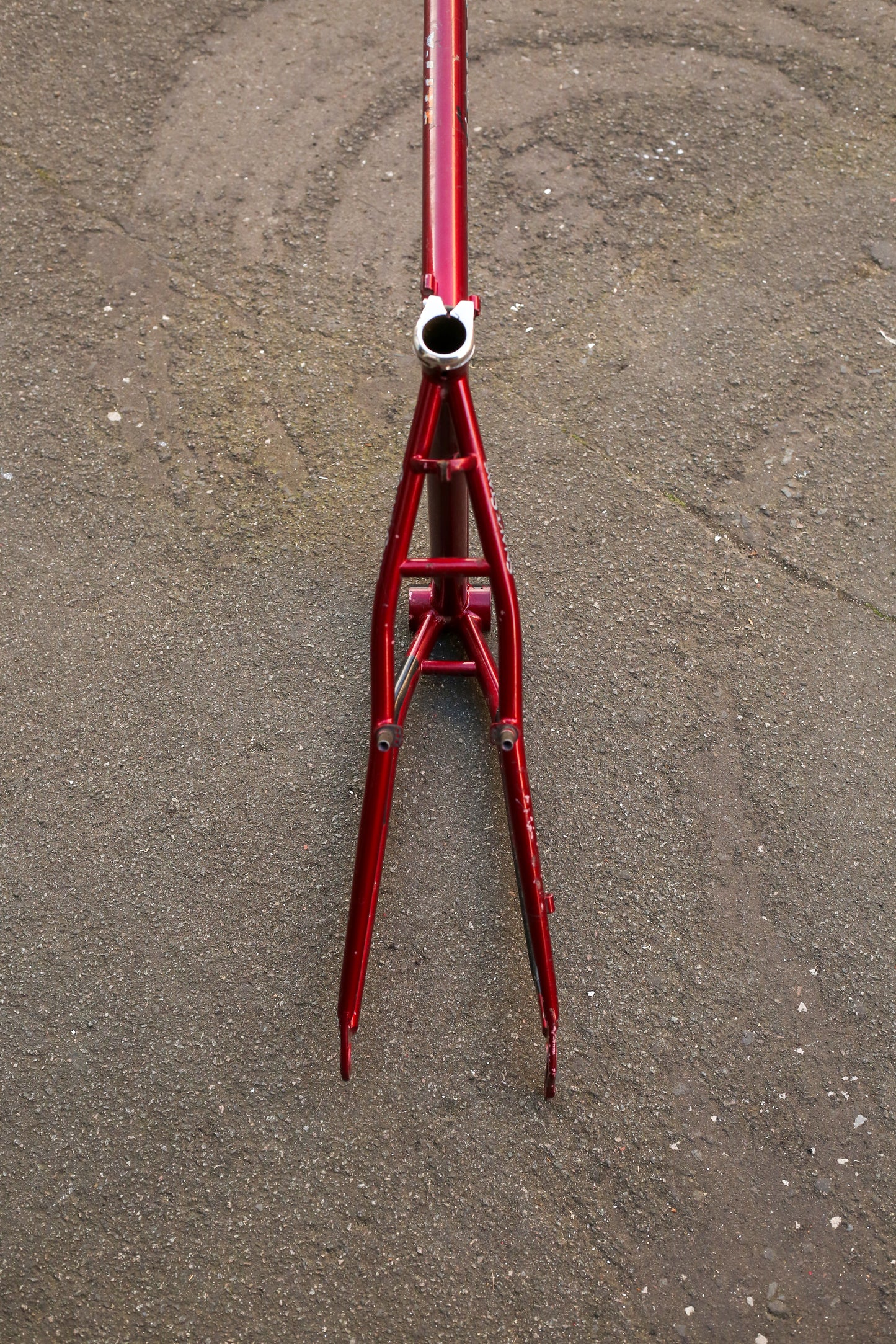 Diamondback Response Elite (Red)