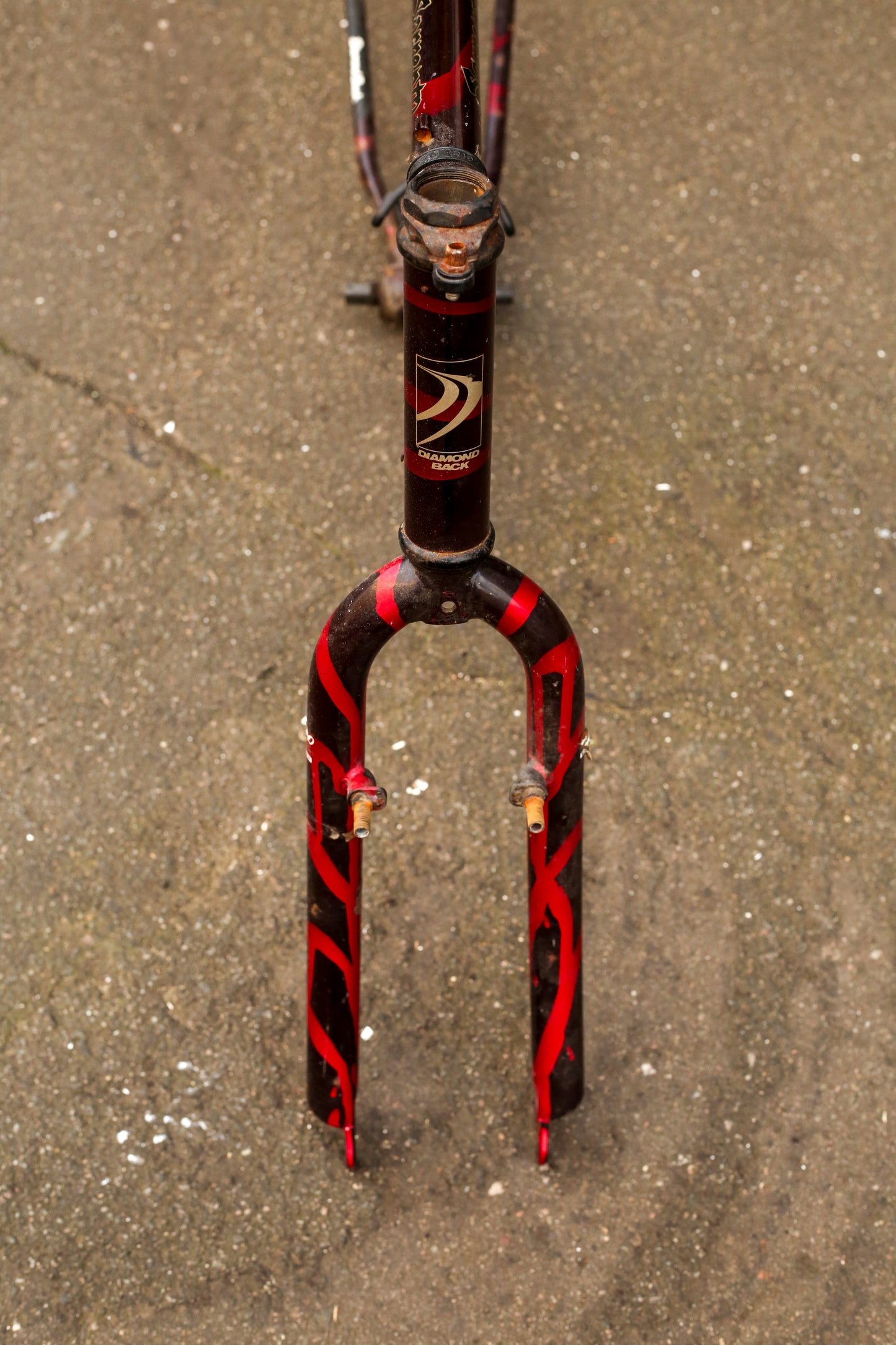 Diamondback Sorrento (Black / Red)