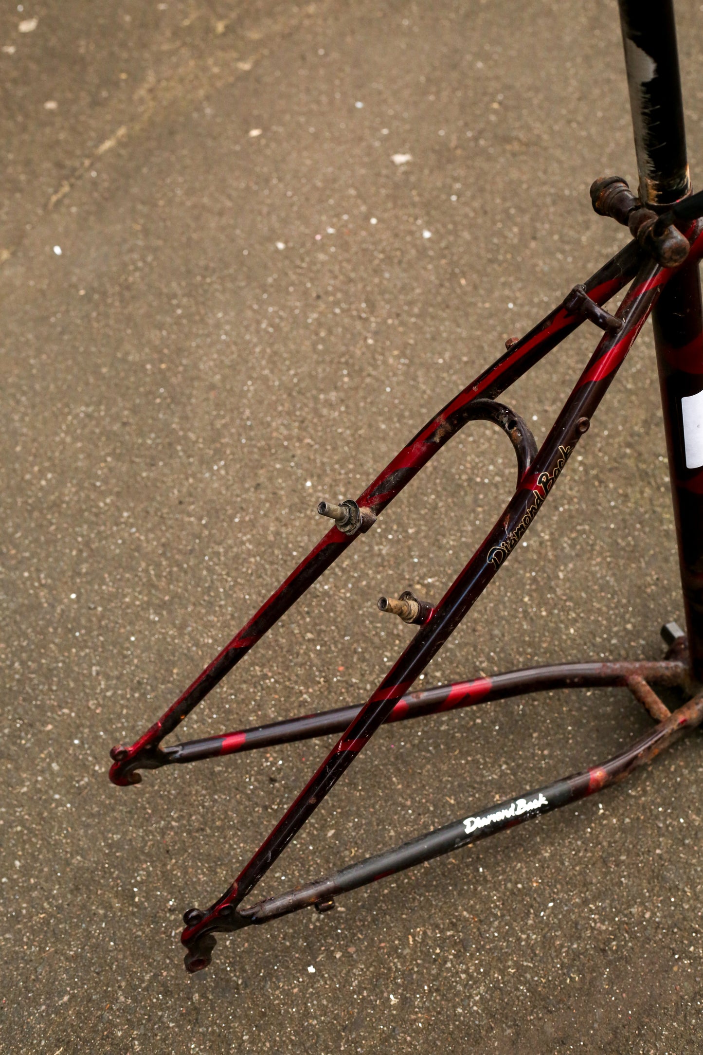 Diamondback Sorrento (Black / Red)