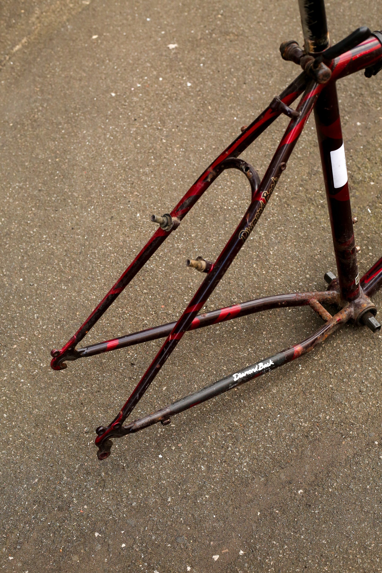 Diamondback Sorrento (Black / Red)