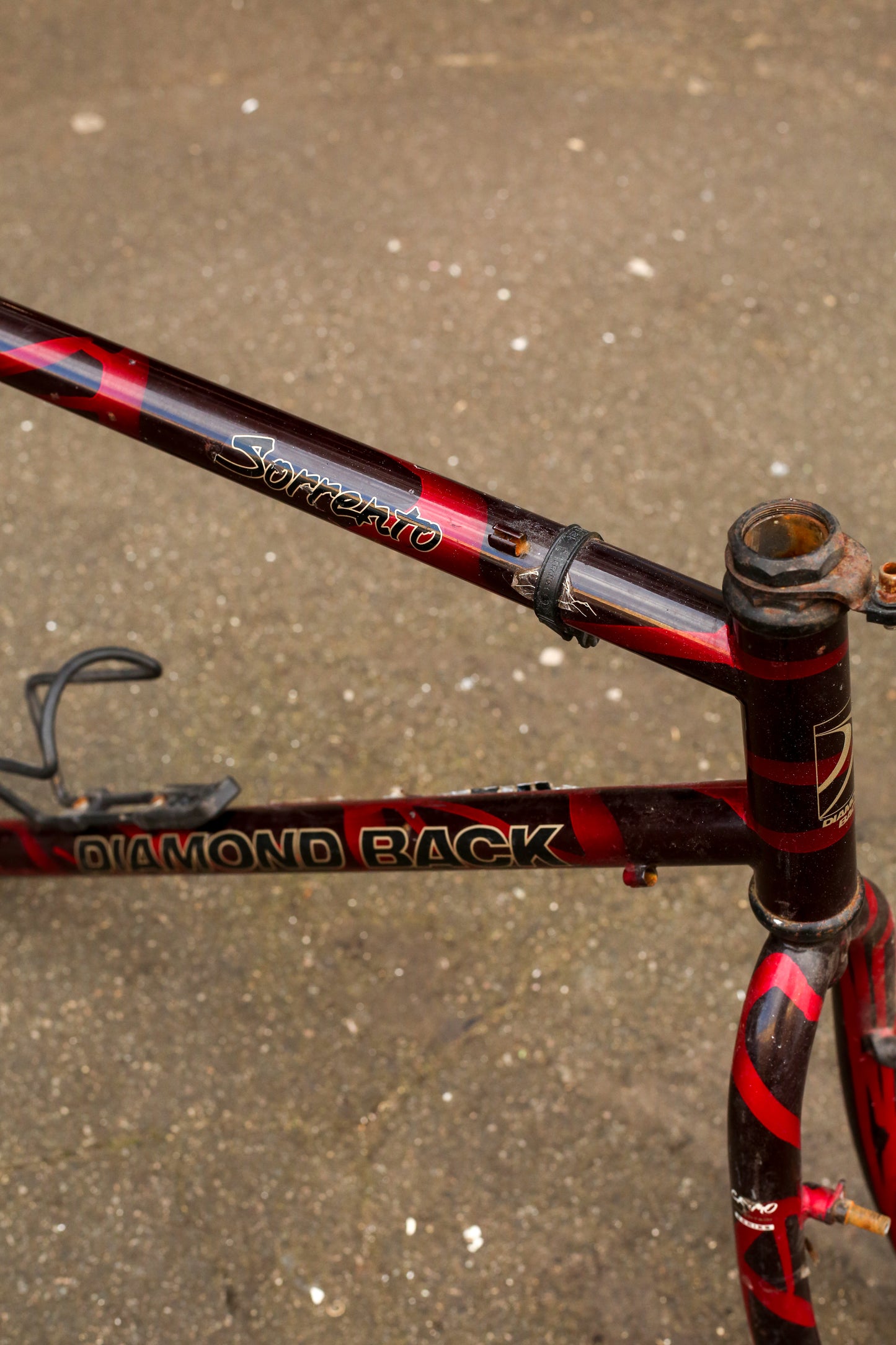 Diamondback Sorrento (Black / Red)