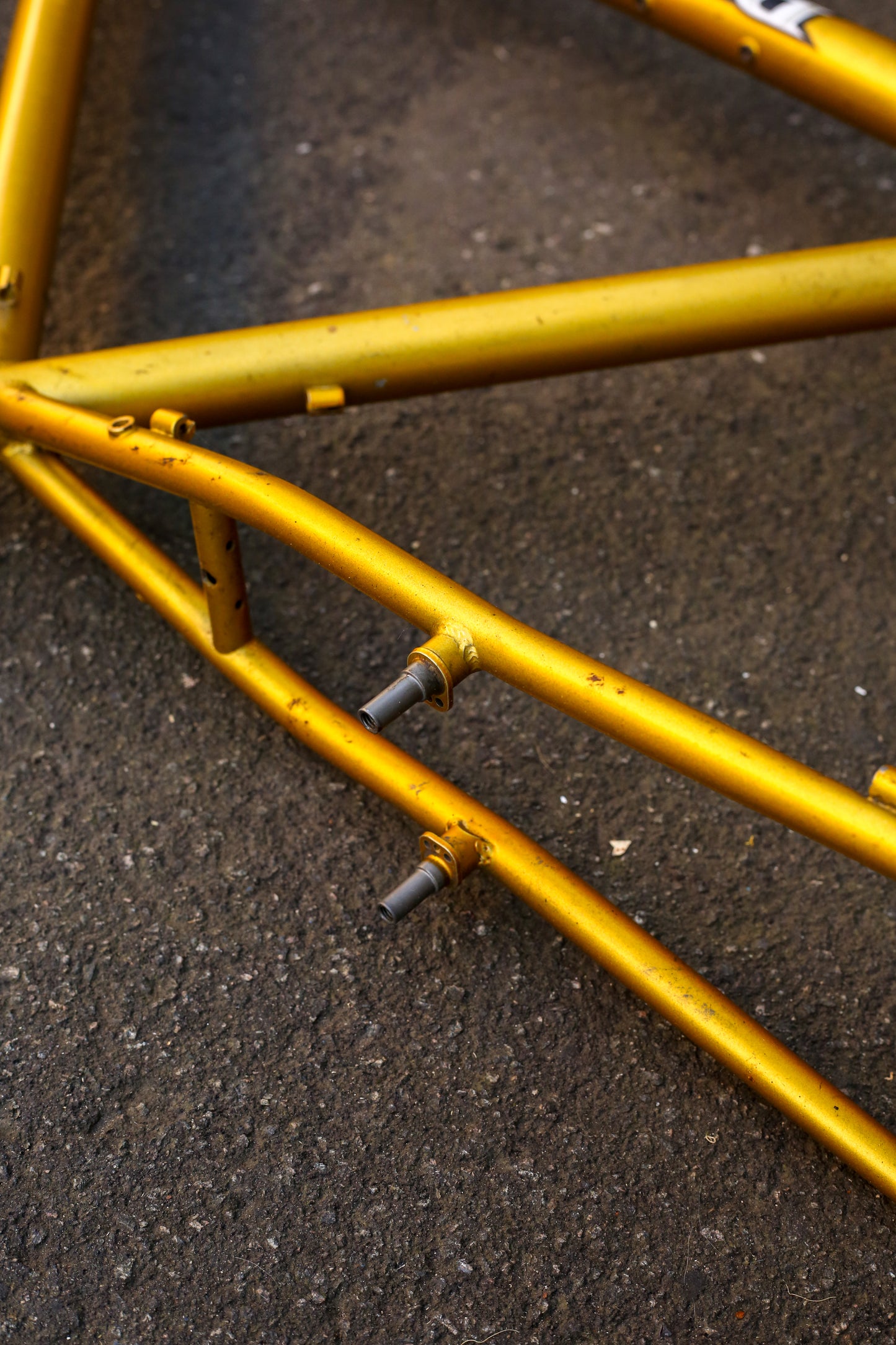Diamondback Topanga (Gold)