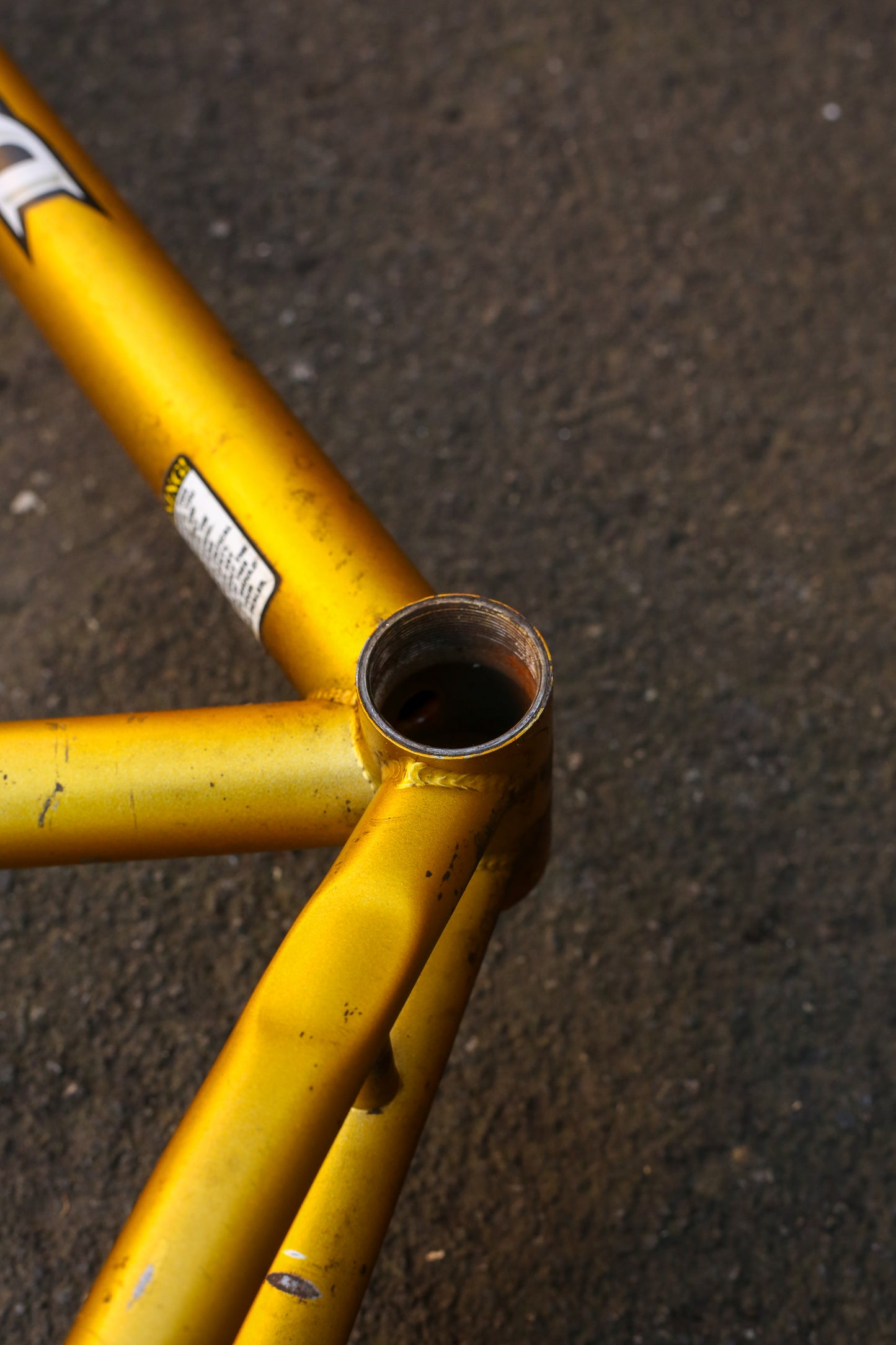 Diamondback Topanga (Gold)