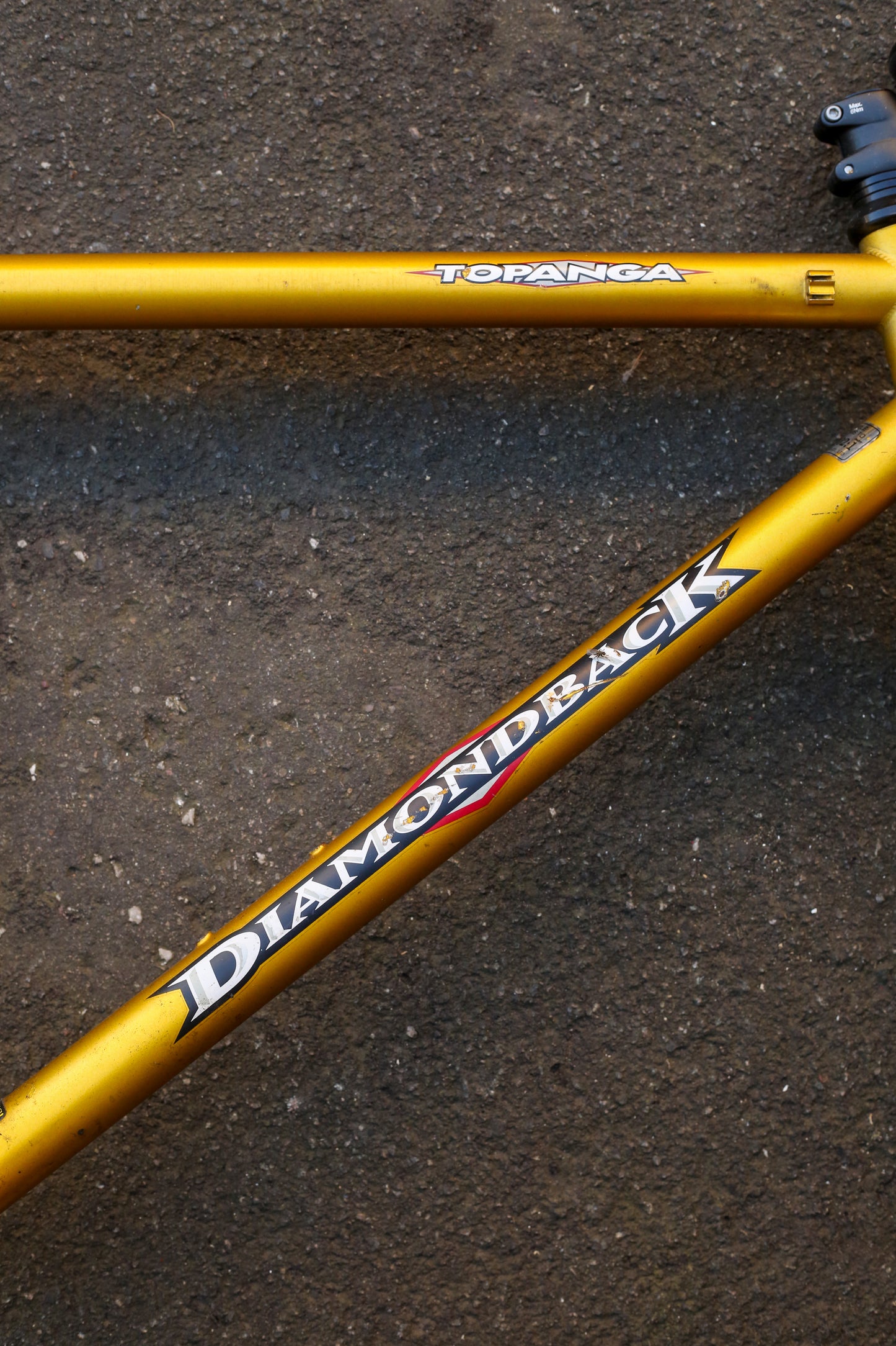 Diamondback Topanga (Gold)