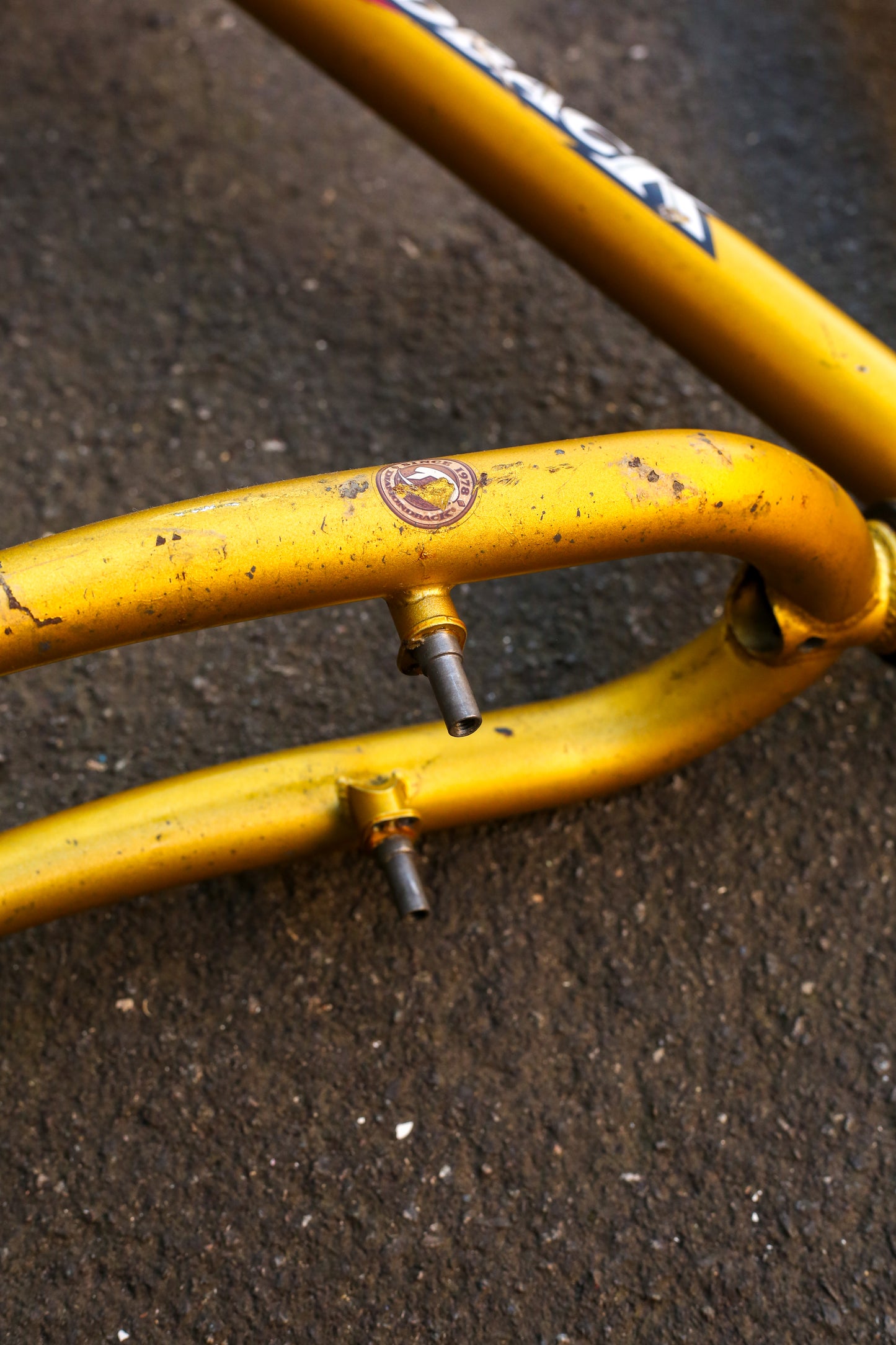 Diamondback Topanga (Gold)