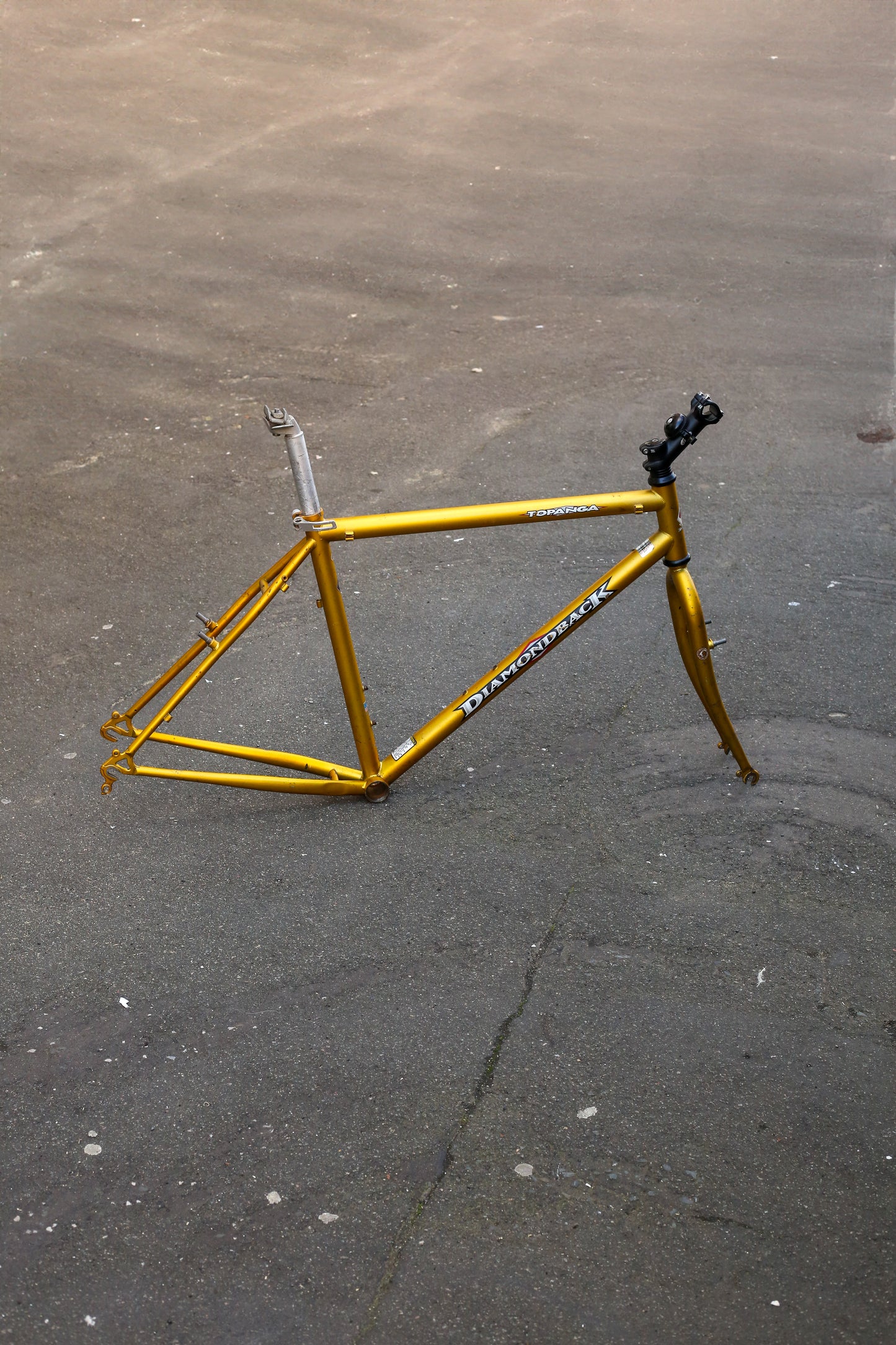 Diamondback Topanga (Gold)
