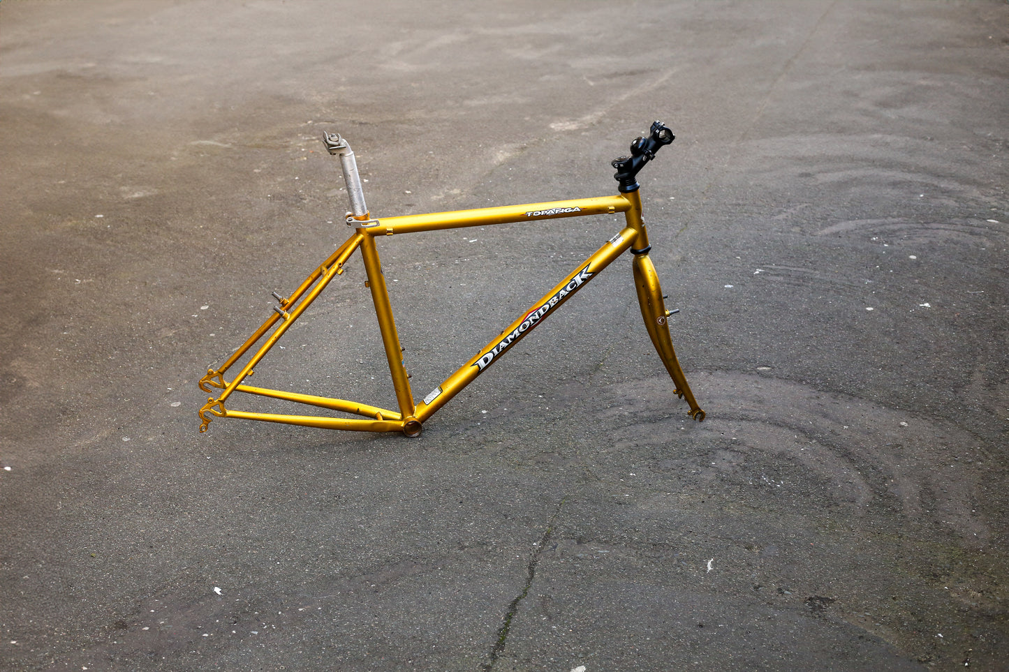 Diamondback Topanga (Gold)