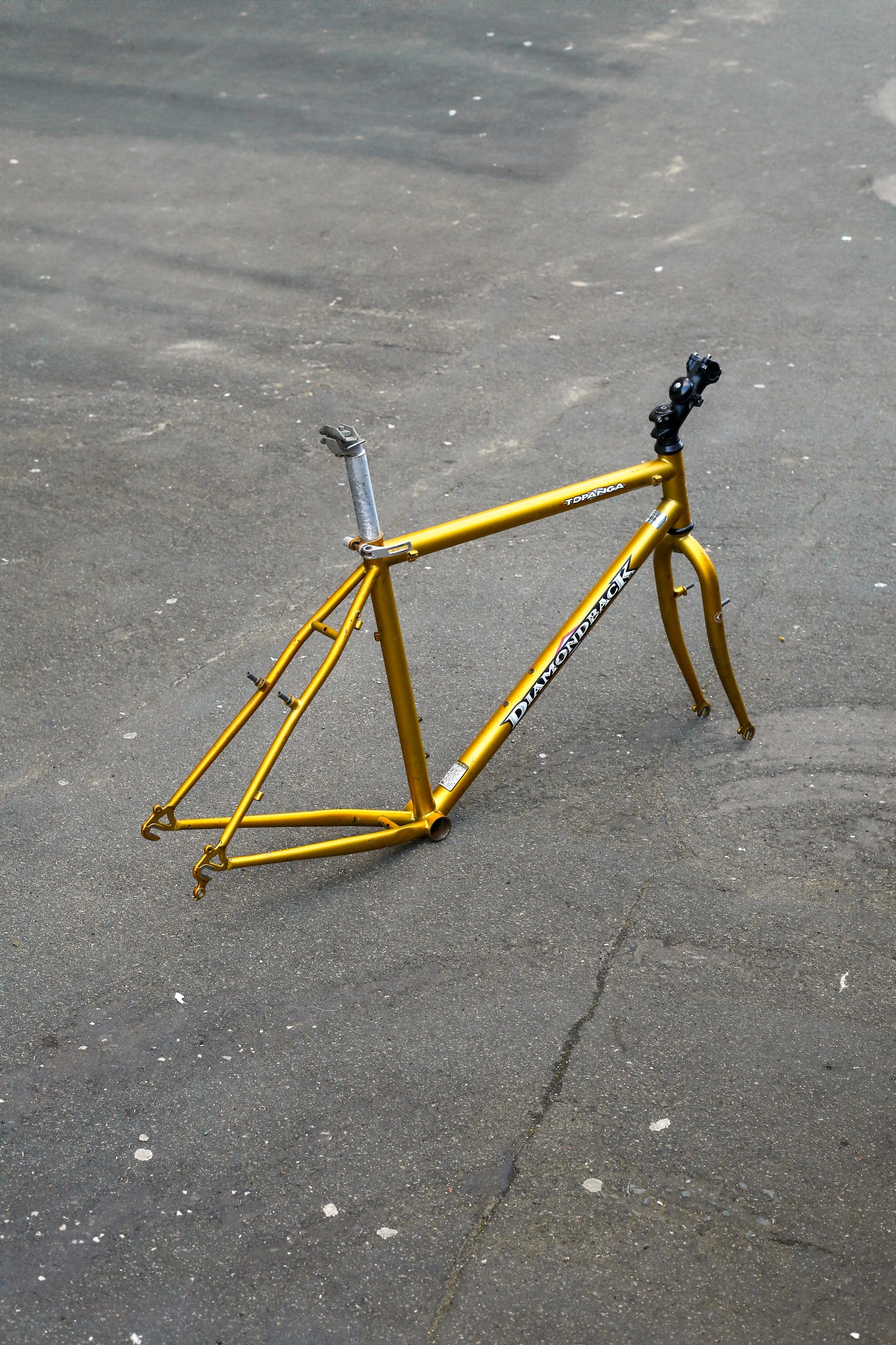 Diamondback Topanga (Gold)