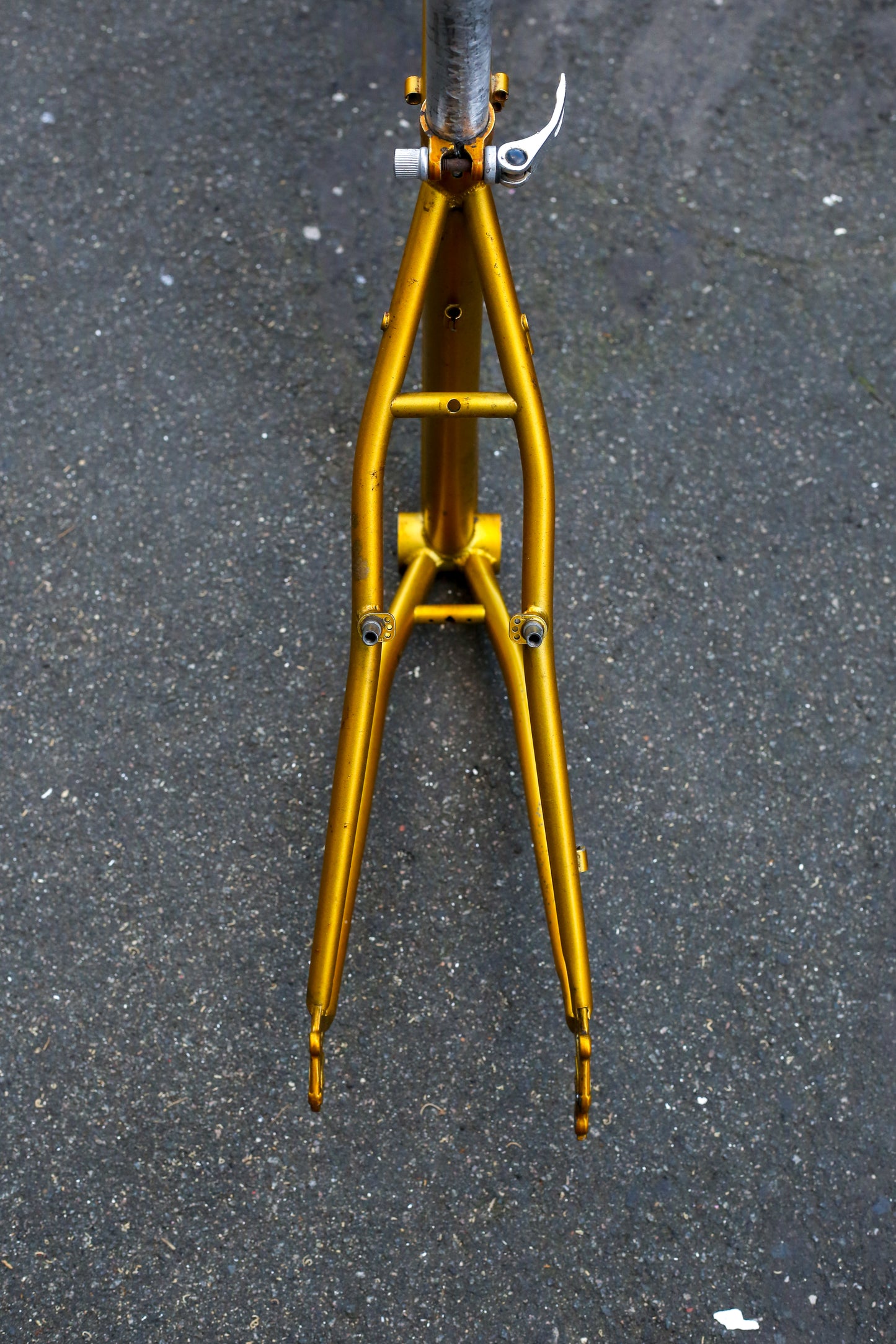 Diamondback Topanga (Gold)