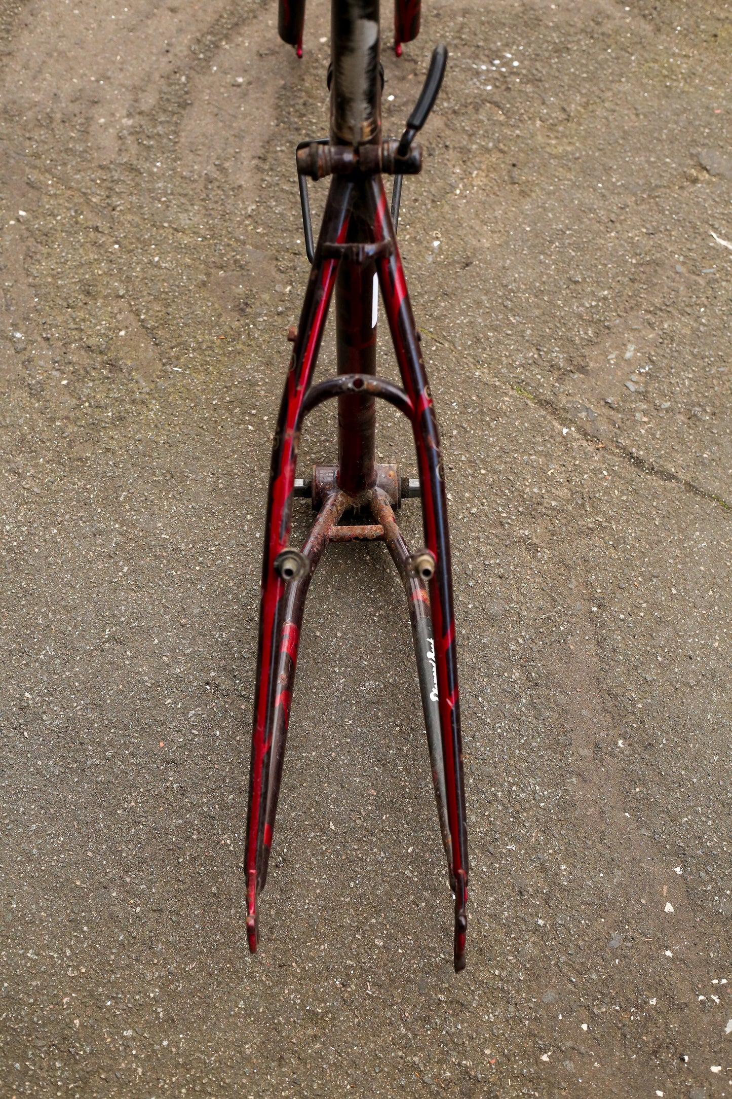 Diamondback Sorrento (Black / Red)