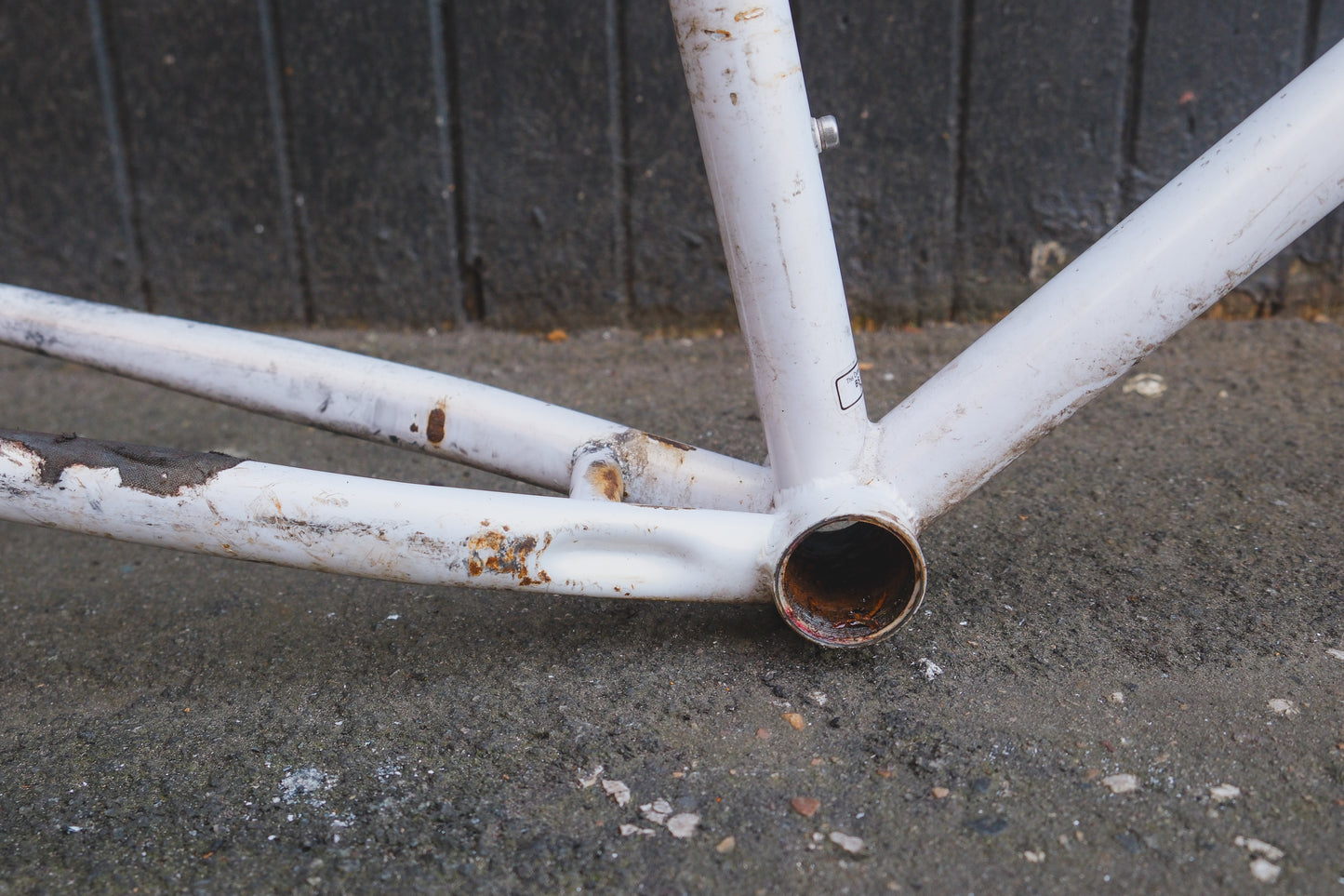 Specialized Hard Rock (White)