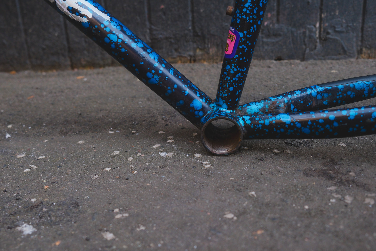 GT Timberline (Black / Blue)