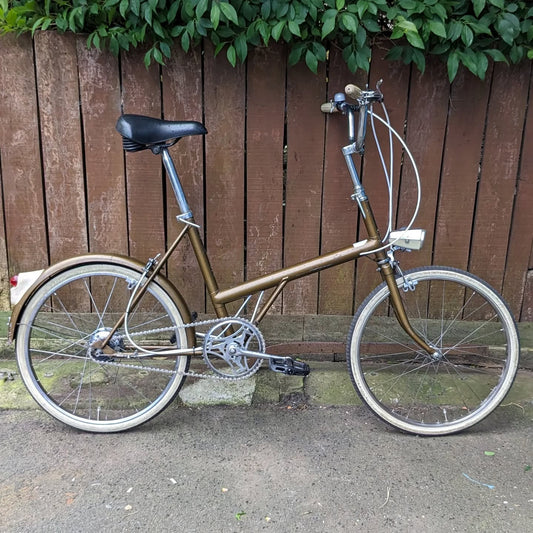 Raleigh Twenty overhaul