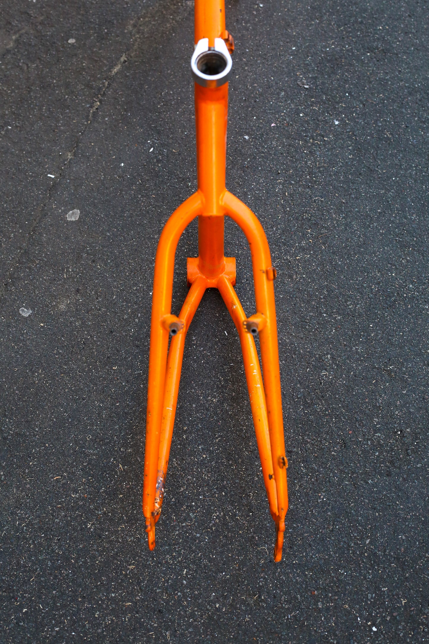 Orange (Orange)