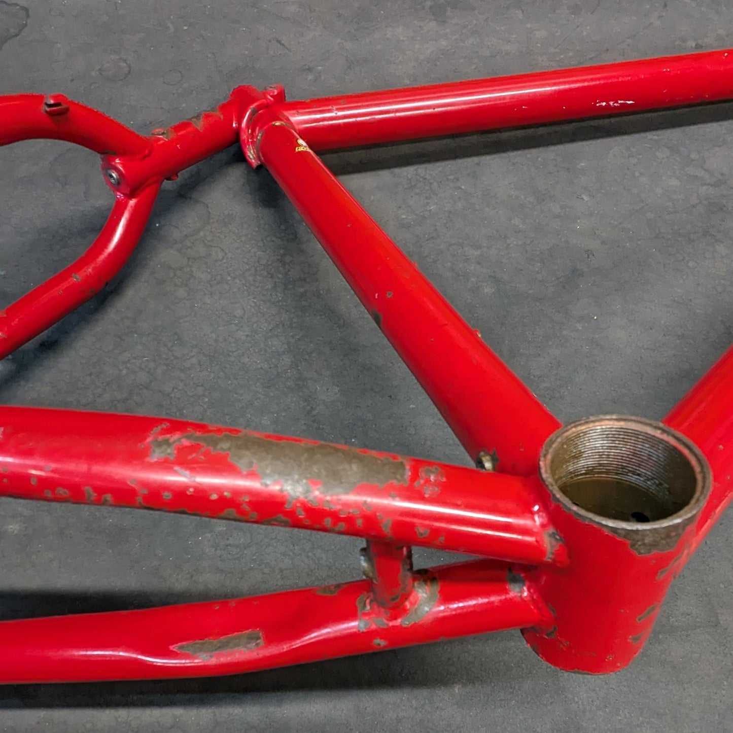 Rocky mountain Hammer (Red)