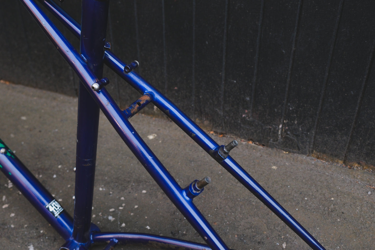 GT Talera (Green / Purple)