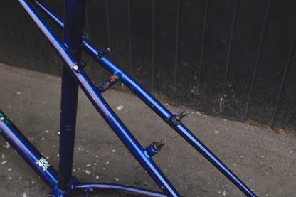 GT Talera (Green / Purple)