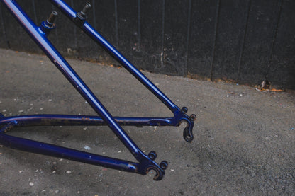 GT Talera (Green / Purple)