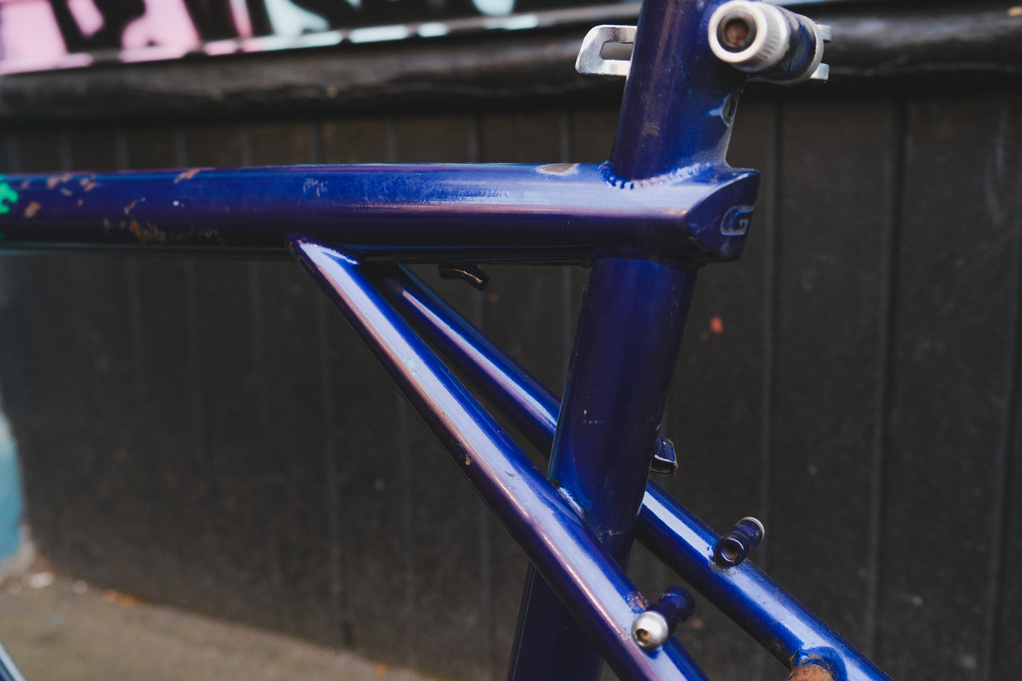 GT Talera (Green / Purple)