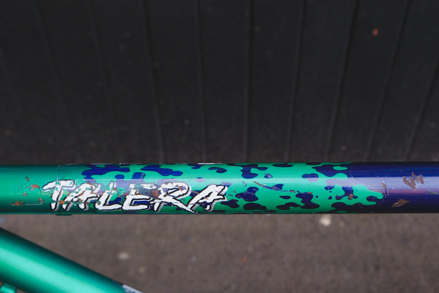 GT Talera (Green / Purple)