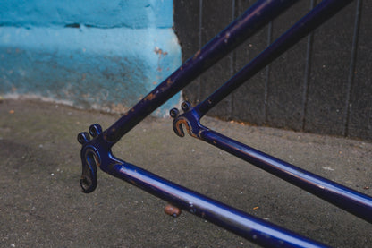 GT Talera (Green / Purple)