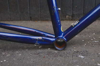 GT Talera (Green / Purple)