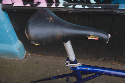 GT Talera (Green / Purple)