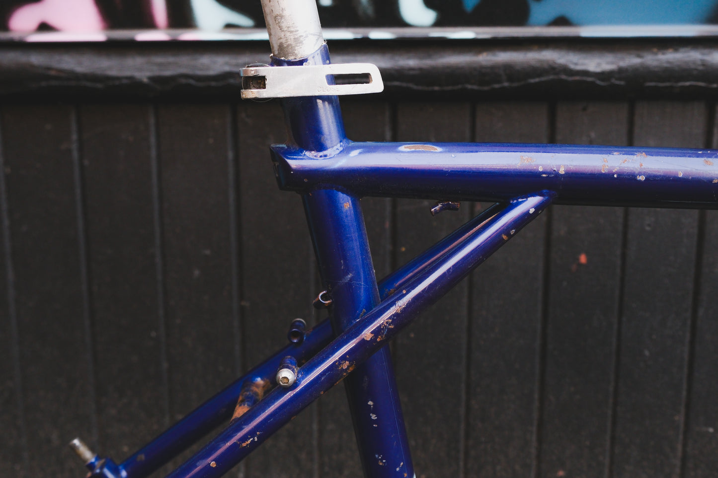 GT Talera (Green / Purple)