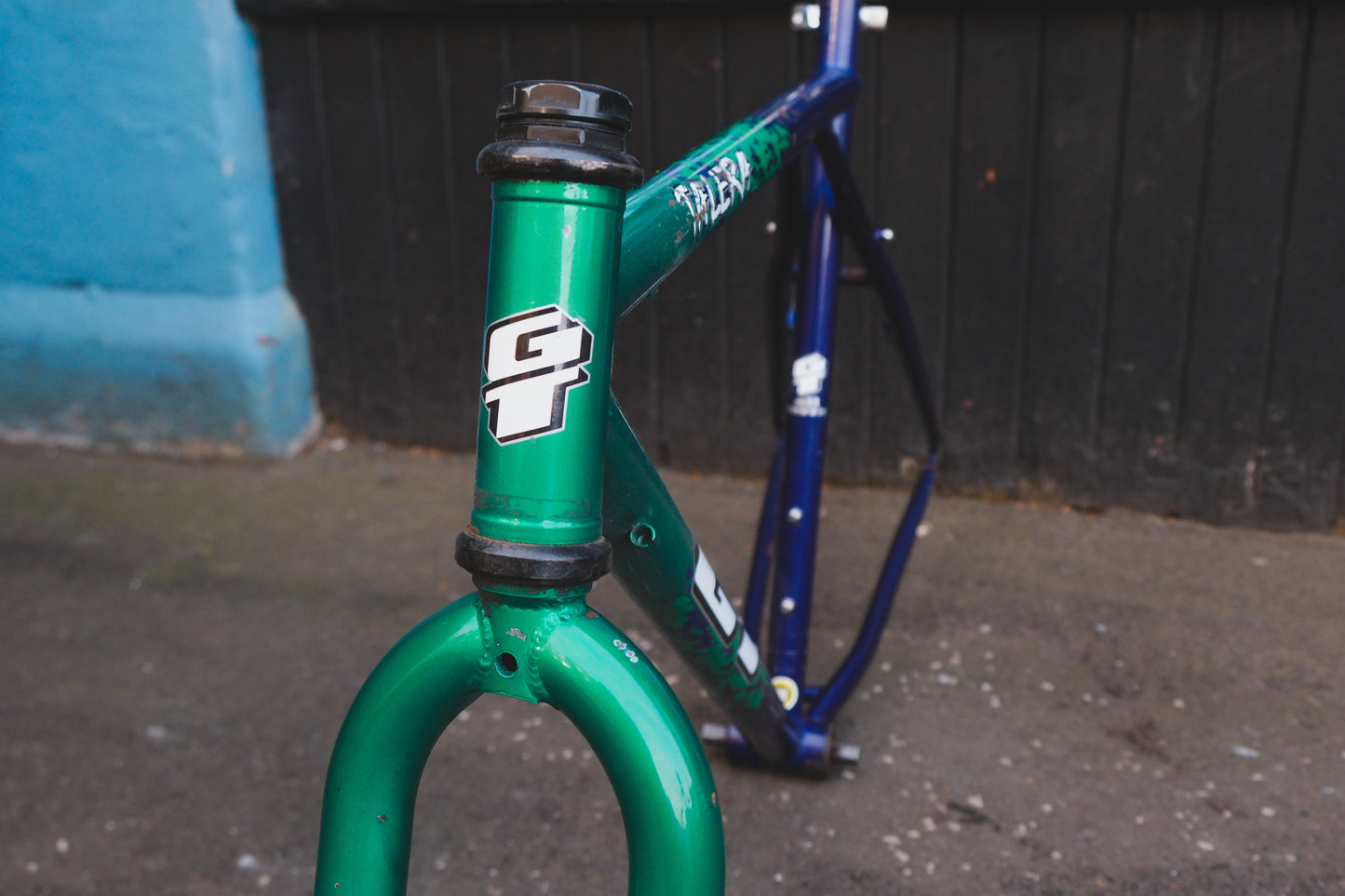 GT Talera (Green / Purple)