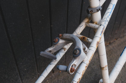 GT Timberline (White / Black)