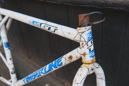 GT Timberline (White / Black)