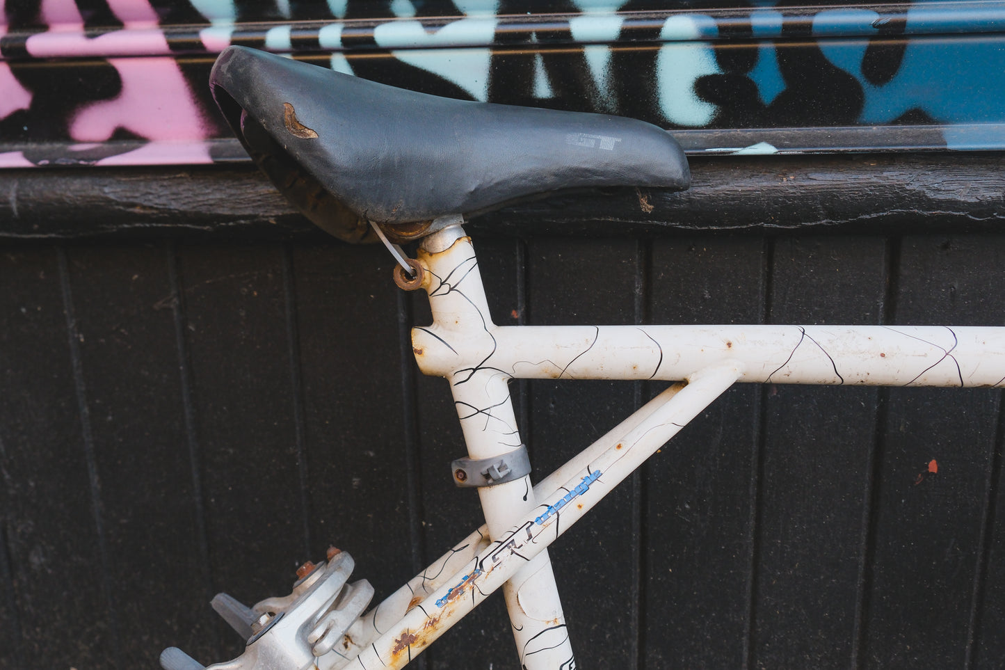 GT Timberline (White / Black)