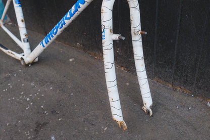 GT Timberline (White / Black)