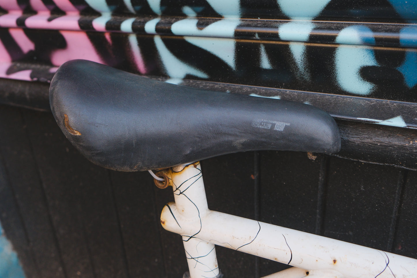 GT Timberline (White / Black)