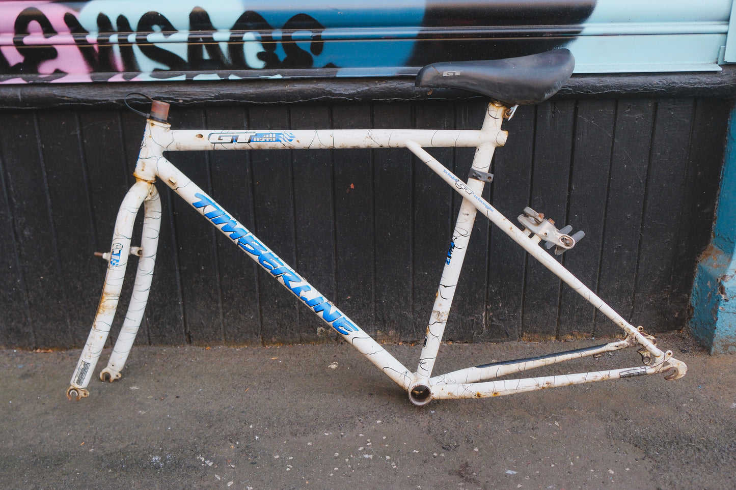 GT Timberline (White / Black)