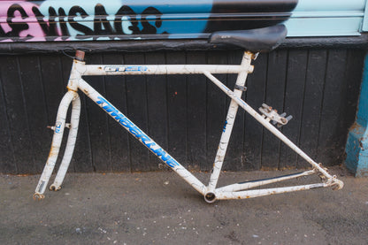 GT Timberline (White / Black)