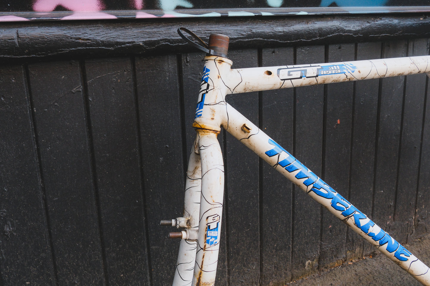 GT Timberline (White / Black)