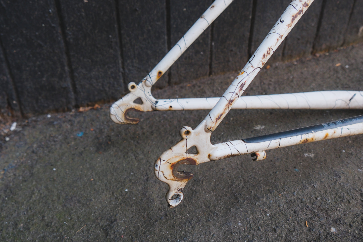 GT Timberline (White / Black)