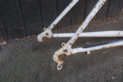 GT Timberline (White / Black)