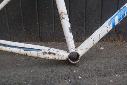 GT Timberline (White / Black)