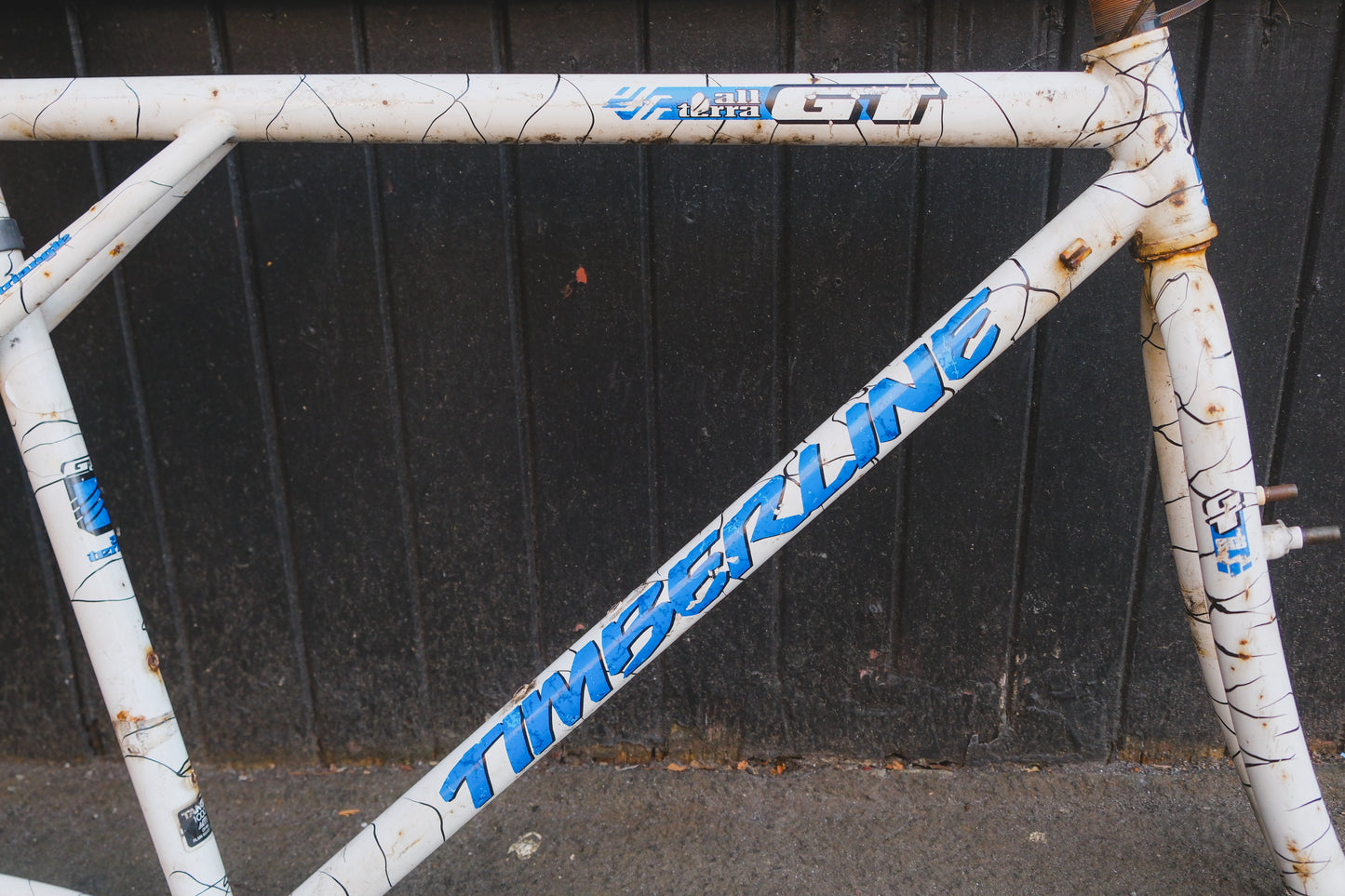 GT Timberline (White / Black)