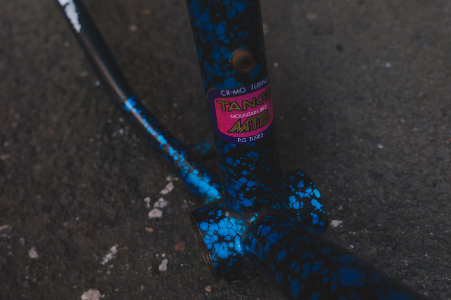 GT Timberline (Black / Blue)