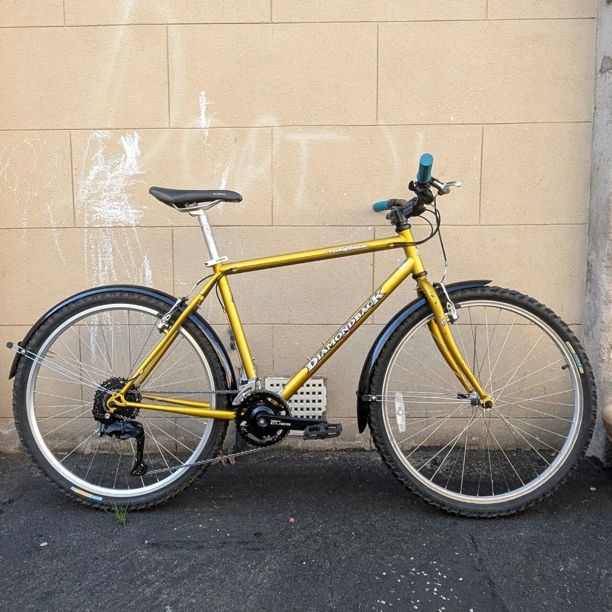 Gold Diamondback Topanga Build